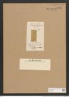 Cocconeis robusta Lend.-Fortm. (de-Toni-Nr.: Genus 40, Species 1809) Zeichnungen Sammlung Grunow Nr. 3595 (NHMW-BOT-W0371186)